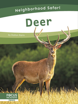 cover image of Deer